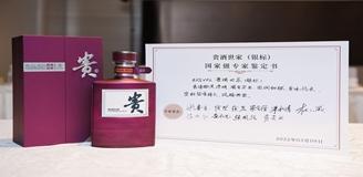 国产免费va中文在线观看