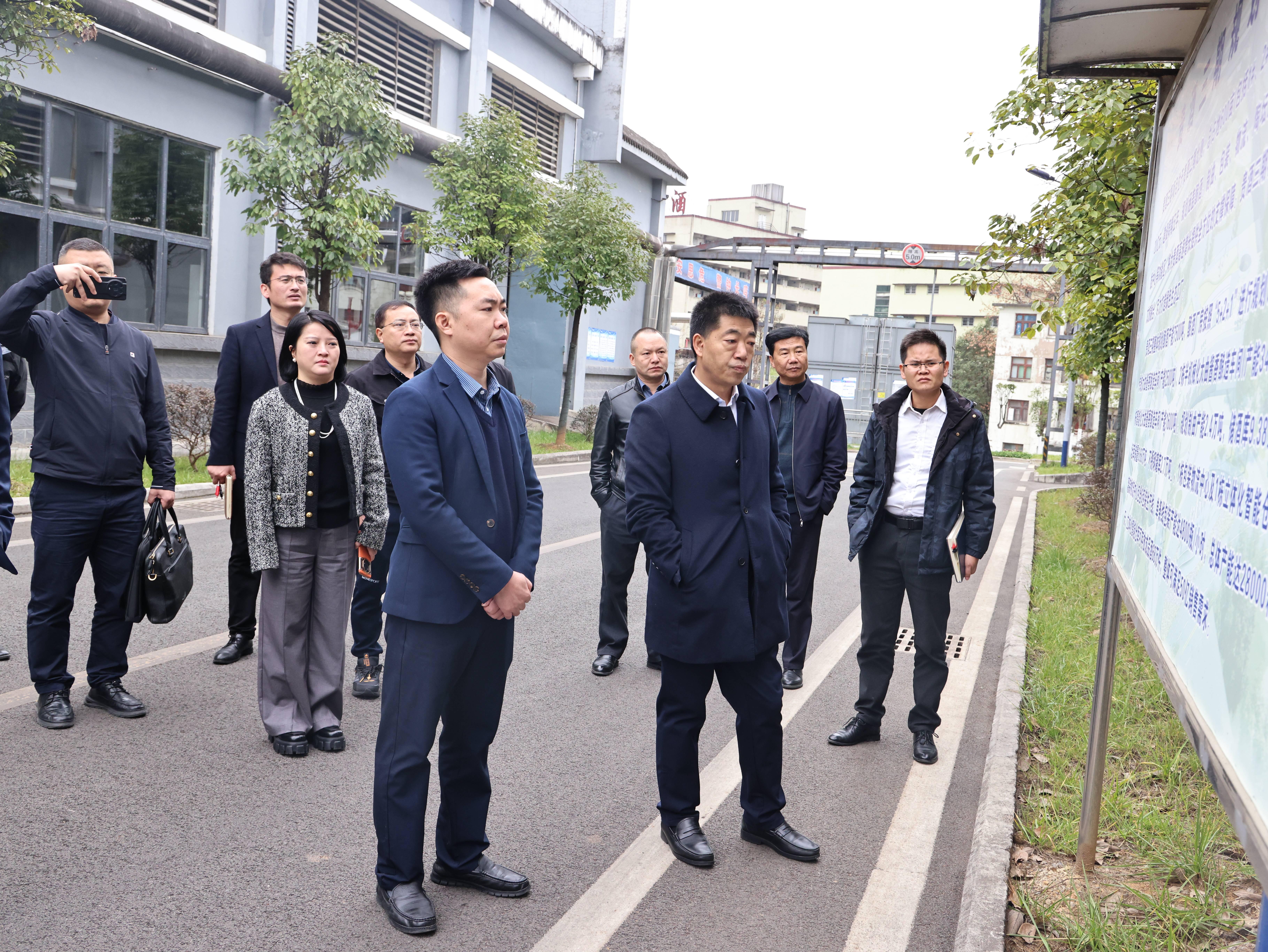 国产免费va中文在线观看