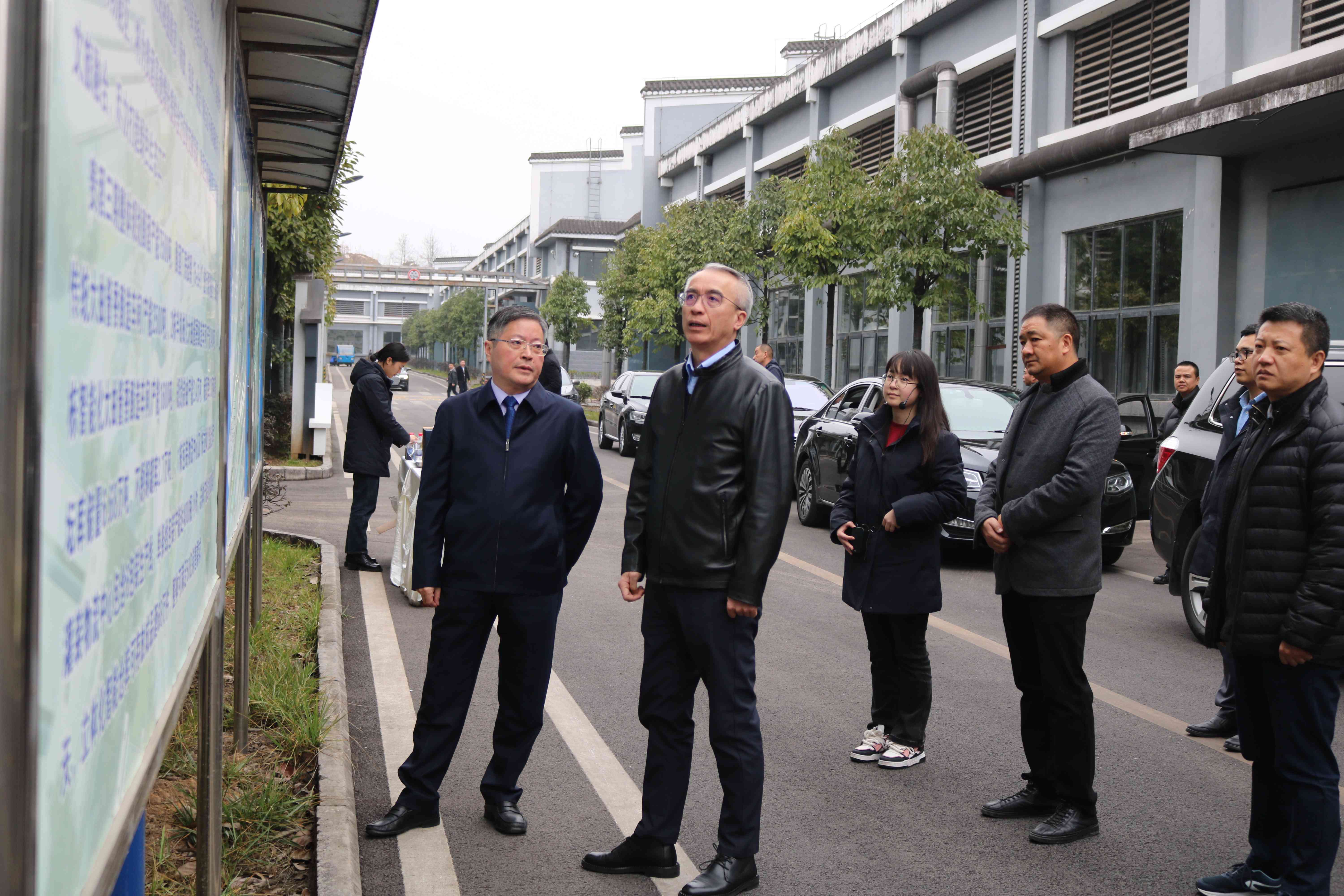 国产免费va中文在线观看